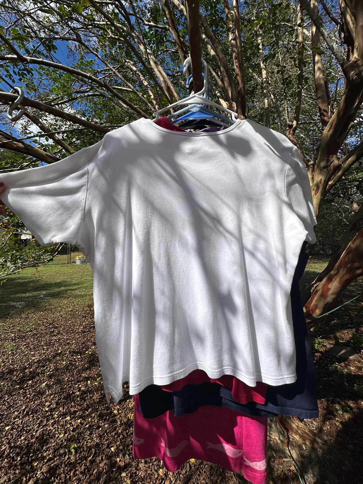 Sunset Dahlia Tee