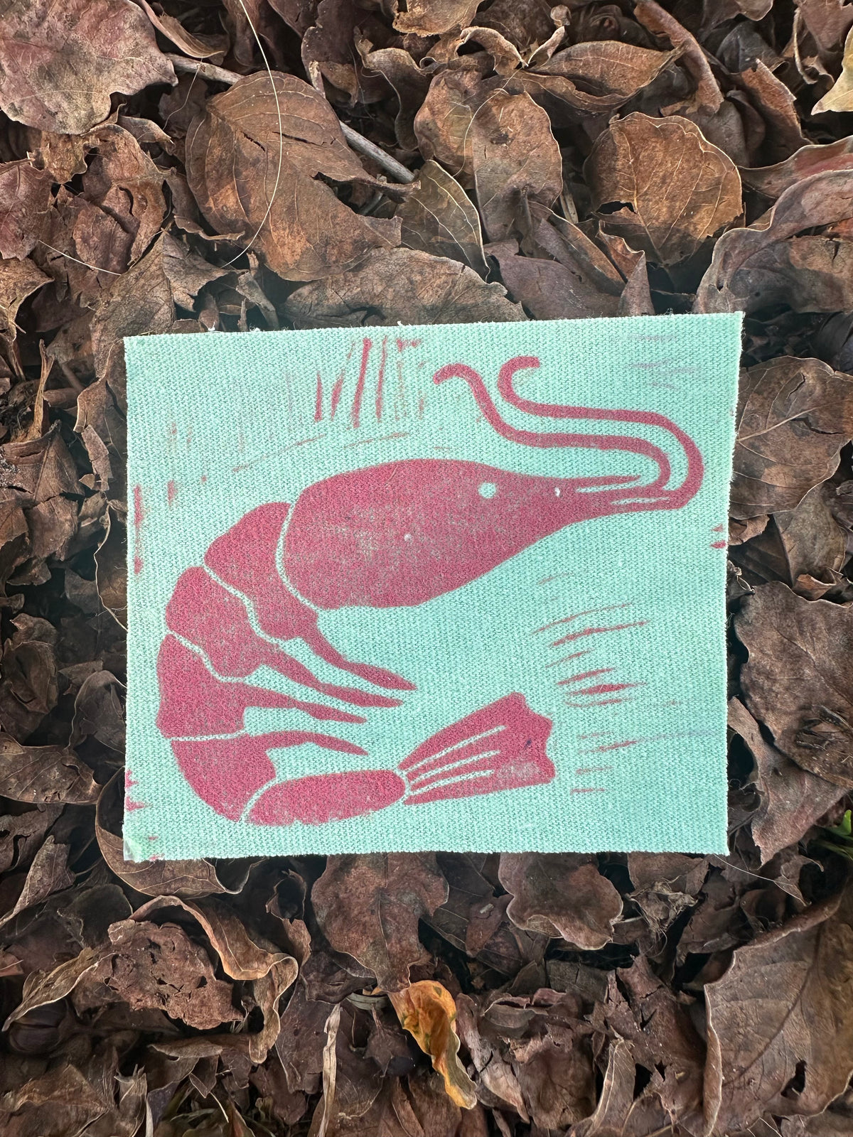 Shrimp Iron on Patch