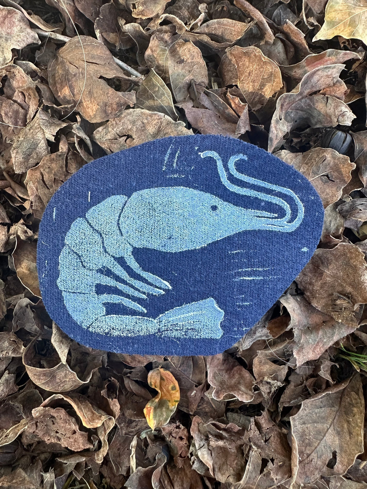 Shrimp Iron on Patch