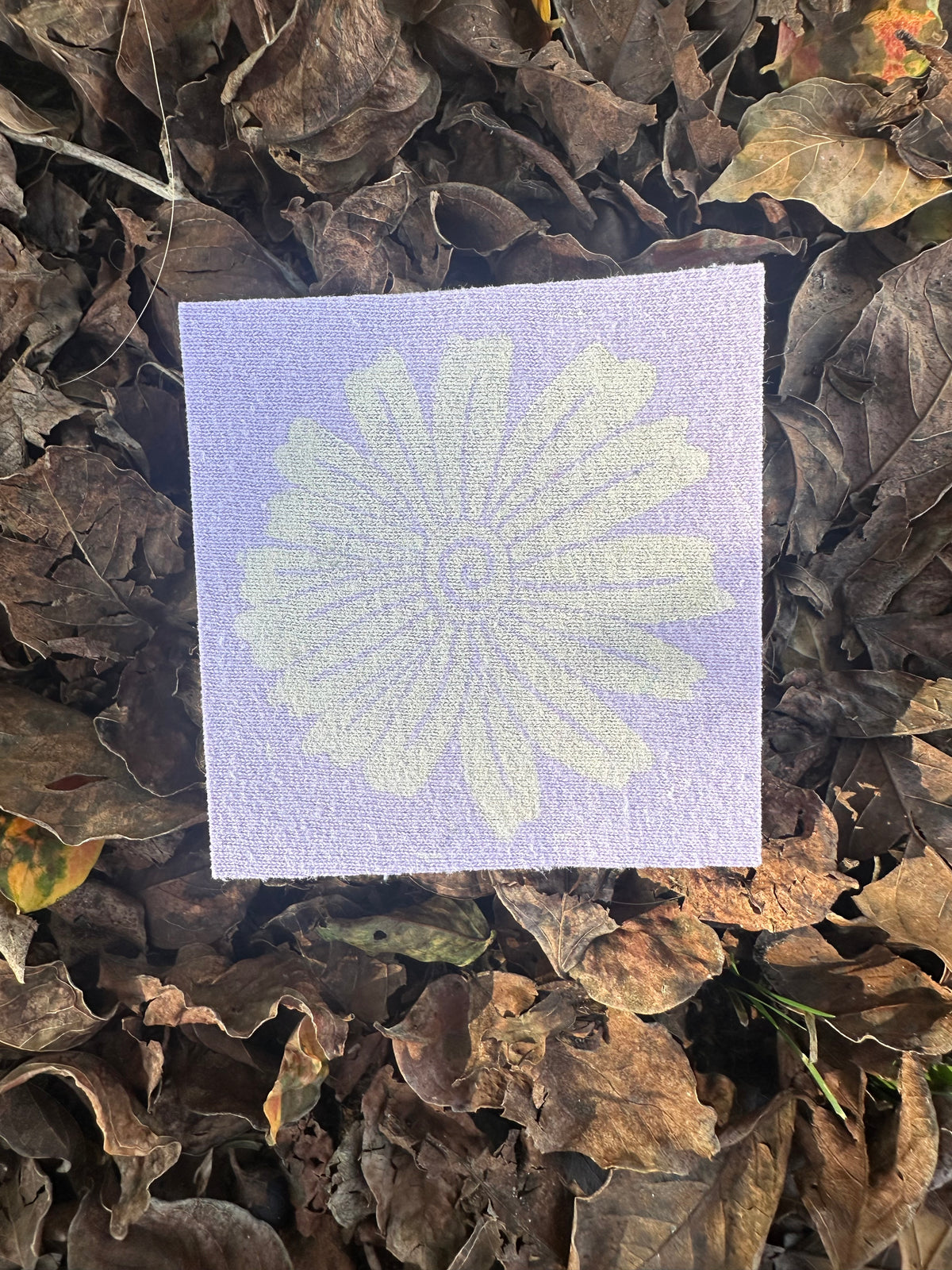 Crazy Daisy Iron On Patch