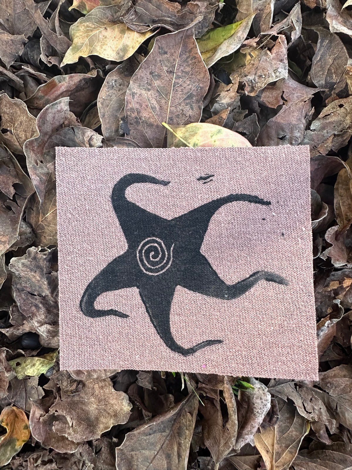 Spiral Star Iron On Patch