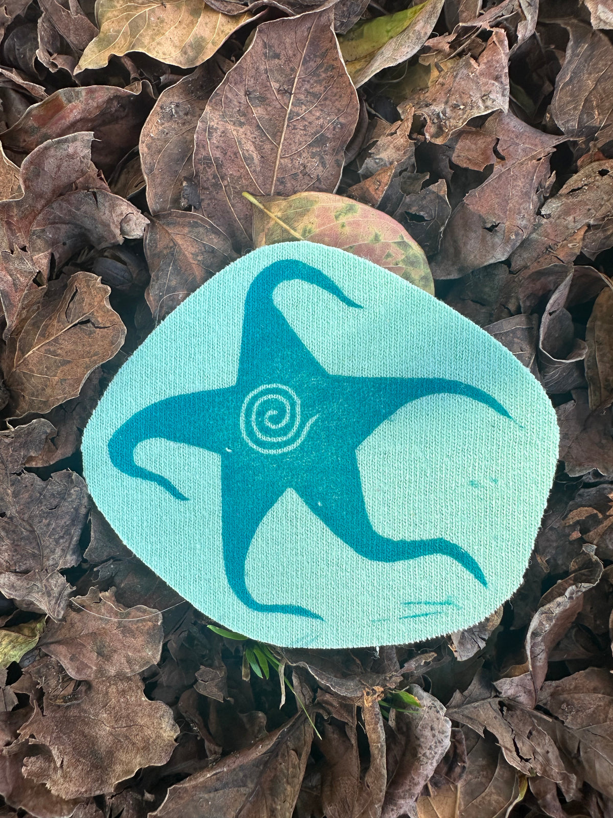 Spiral Star Iron On Patch